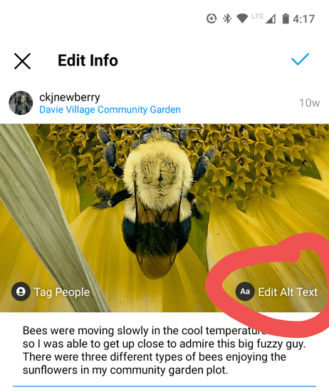 سئو پیج اینستاگرام