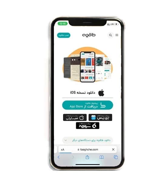 شبکه های اجتماعی ایرانی